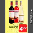 Rumeenia
KGT vein Dreamer
Late Harvest, 75 cl
• 3 sorti