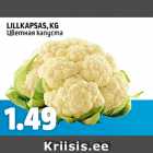 Allahindlus - LILLAKAPSAS, KG
