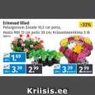 Erinevad lilled