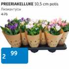 PREERIAKELLUKE 10,5 cm potis