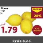 Sidrun
Türgi
kg