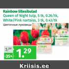 Rainbow lillesibulad