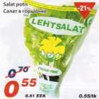 Salat potis