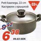 Pott kaanega
