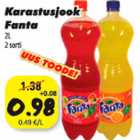 Karastusjook Fanta 2l 2 sorti