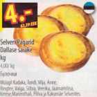 Allahindlus - Selveri Pagarid Dallase saiake