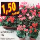 Minialpikann
