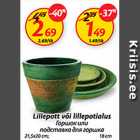 Lillepott või lillepotialus