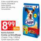 Koera kuivtoit looma- ja linnulihaga