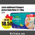 Mähkmed - Laste mähkmed Pampers
Active Baby Maxi 4 7-18kg
82tk
