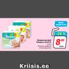 Allahindlus - Niisked salvrätid
Pampers, 6x64 tk