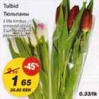 Tulbid 