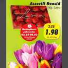 Магазин:Grossi,Скидка:Асорти Roosid