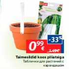 Taimesildid koos pliiatsiga
