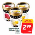 Allahindlus - Sorbett Grycan,
500 ml / 340 g