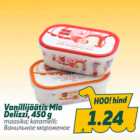 Vanillijäätis Mio Delizzi, 450 g