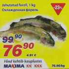 Охлаждённый форель