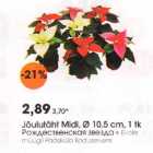 Jõulutäht Midi, @ l0,5 cm, l tk