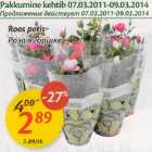 Roos potis