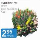 TULBIKIMP 