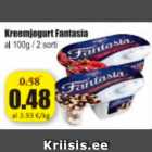 Allahindlus - Kreemjogurt Fantasia