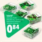 Salatid* 