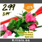 Roosikimp, 35 cm, 11 tk kimbus