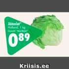 Jääsalat*