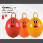 Hüppepall 55cm