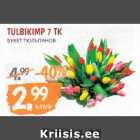 TULBIKIMP 7 TK
