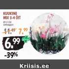Магазин:Maksimarket, Konsum,Скидка:ОРХИДЕЯ
