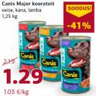 Canis Major koeratoit