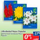 Цветочные луковицы Nojus
Popular