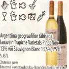 Argentiina lauavein Trapiche Varietals Pinot Noir või Sauvignon Blanc
