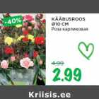 KÄÄBUSROOS
Ø10 CM