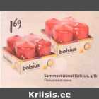 Sammasküünal Bolsius, 4 tk