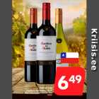 Tšiili GT vein
Casillero del Diablo, 75 cl*