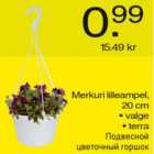 Магазин:Säästumarket,Скидка:Подвесной цветочный горшок