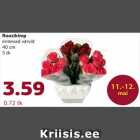 Roosikimp
erinevad värvid
40 cm
5 tk