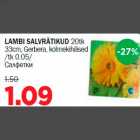 LAMBI SALVRÄTIKUD 20tk 33cm, Gerbera, kolmekihilised