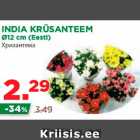 Магазин:Maksimarket, Konsum,Скидка:Хризантема