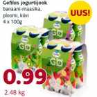 Gefilus jogurtijook