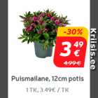 Puismailane,
12cm potis