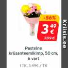 Pastelne
krüsanteemikimp,
50 cm, 6 vart