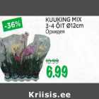 Магазин:Maksimarket, Konsum,Скидка:Орхидея