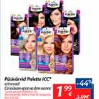 Püsivärvid Palette ICC*