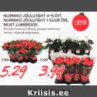 NURMIKO JÕULUTÄHT 4–6 ÕIT;
NURMIKO JÕULUTÄHT 1 SUUR ÕIS,
MUST LUMEROOS