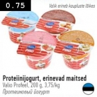Proteiinijogurt