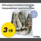 Allahindlus - Külmutatud nototeenia rümp, 1kg