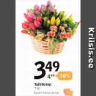 Tulbikimp 1 kg